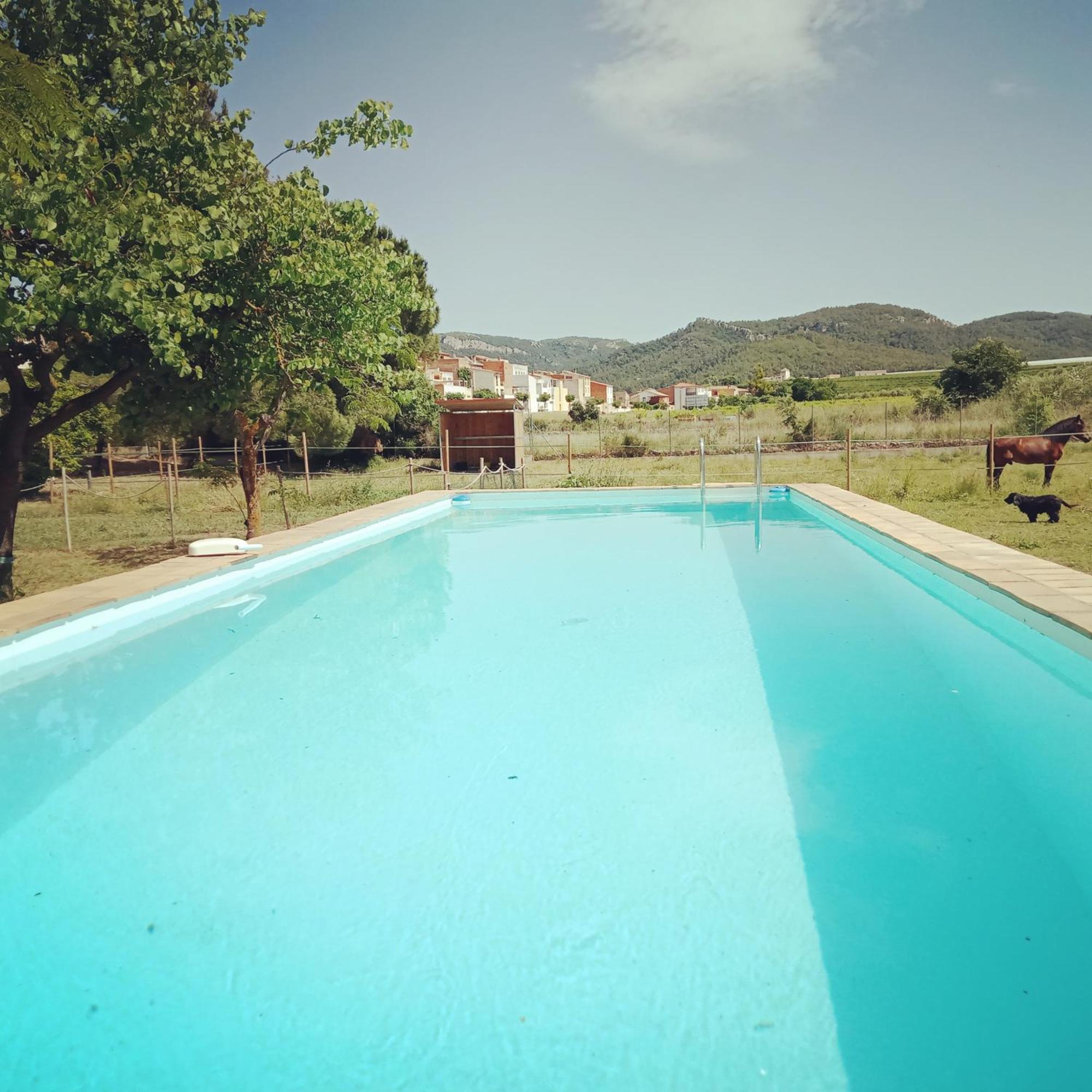 Villa Les Violetes Serra de Almos Exterior foto
